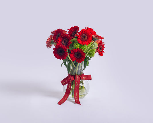 Red Gerbera
